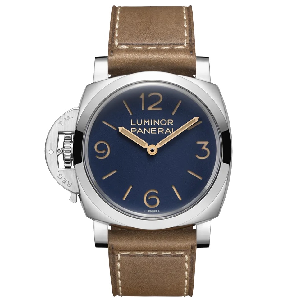 PAM01732